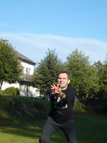 247133166.jpg